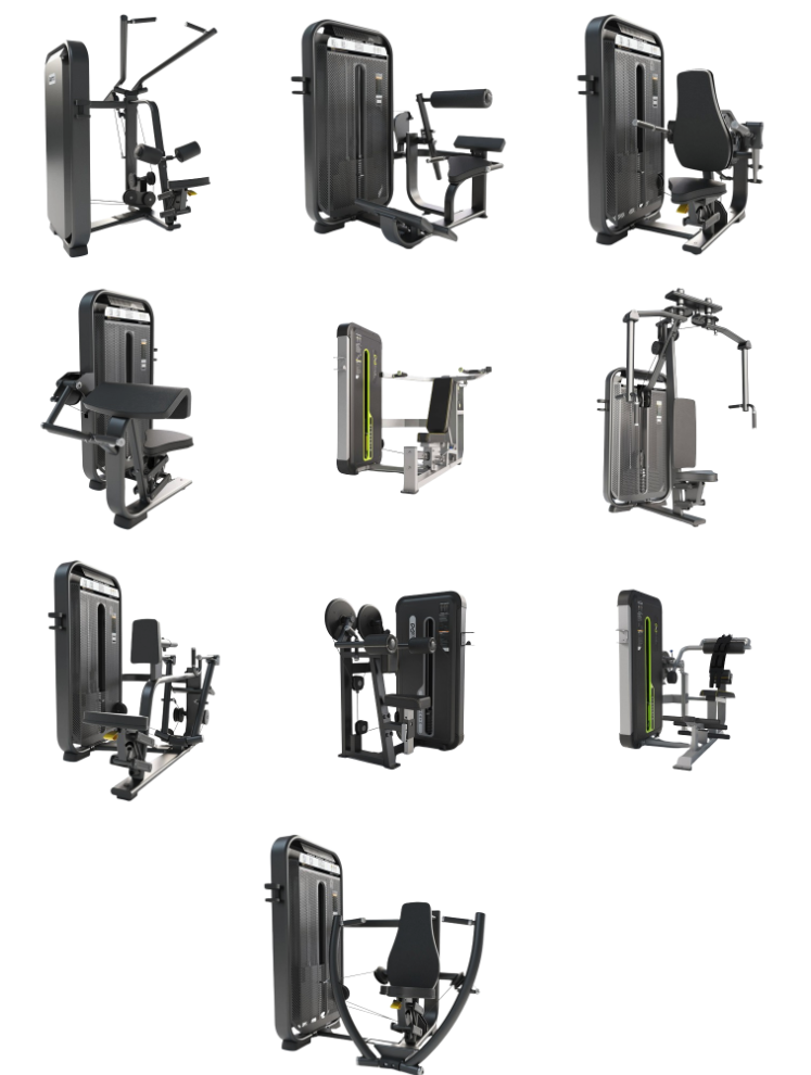 Zona Profesional Completa de Fuerza Tren Superior + Core