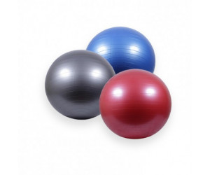 Fitball - Balones de Gimnasia / GymDescuento