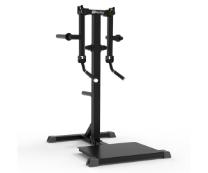 Standing Lateral Raise Machine (Plate Loaded)  | Semi-professional | Economy Range / IMPULSE