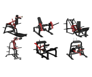 Professional Pack: Complete Zone Lower Body ( Loaded Plate)    / IMPULSE