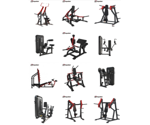 Professional Pack: Complete Upper Body Strength Zone + Core (Selectorized+ Loaded Plate)    / DHZ