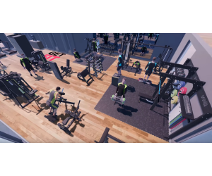 Professional Gym Pack: Complete Selectorized Machine Gym 200 m² / DHZ