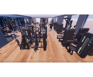 Professional Gym Pack: Complete Selectorized Machine Gym 300 m² / DHZ